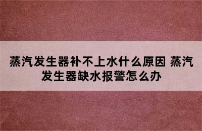 蒸汽发生器补不上水什么原因 蒸汽发生器缺水报警怎么办